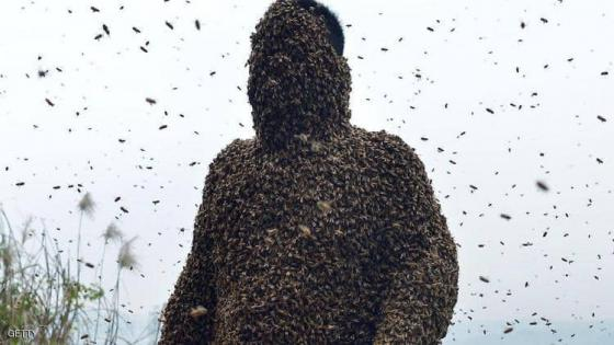 الصخيرات | أسراب من النحل تهاجم مهاجرا ستينيا ولج المغرب مؤخرا و تتسبب بمقتله