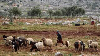 سقطت بمنحدر | مصرع تلميذة كانت ترعى الأغنام بشكل مأساوي ضواحي الحسيمة