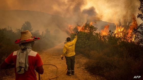 A forest ranger sprays water from a hose on a forest fire near the Moroccan city of Ksar el-Kebir in the Larache region, on July 15, 2022. (Photo by FADEL SENNA / AFP)