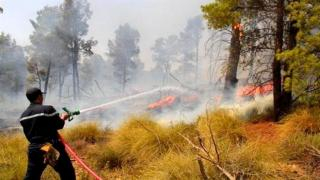 الجزائر | موجة حرائق جديدة تجتاح ثلاث مدن