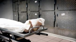 صفرو | العثور على أسرة كاملة من 03 أفراد جثثا هامدة و أسباب الوفاة مجهولة