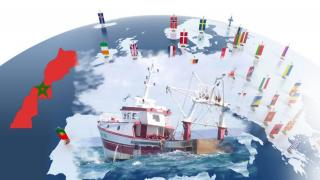 بعد طعن تقدم به كيان البوليساريو الوهمي | محكمة العدل الأوروبية تقرر إلغاء إتفاق الزراعة والصيد مع المغرب