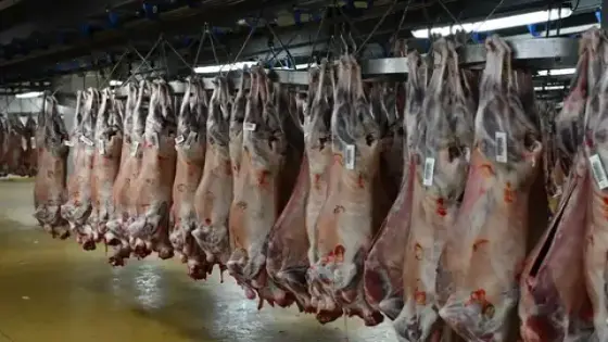 الدار البيضاء | خلاف حول “درهم” يتحول إلى معركة دامية بين جزارين