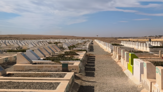 صورة | جرسيف زووم 