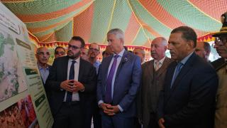 صورة | جرسيف زووم