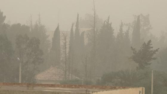 صورة | جرسيف زووم