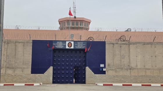 صورة | جرسيف زووم