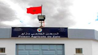 توعدت بمتابعة مروجيه | إدارة سجن زايو :” انتشار الصراصير داخل الزنازين ادعاء كاذب”