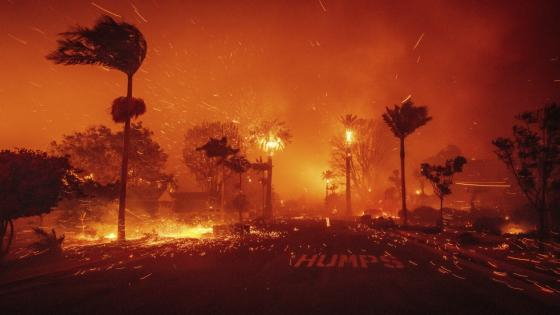 The Palisades Fire ravages a neighborhood amid high winds in the Pacific Palisades neighborhood of Los Angeles, Tuesday, Jan. 7, 2025. (AP Photo/Ethan Swope)