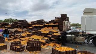 الدار البيضاء | إنقلاب شاحنة محملة بأطنان من فاكهة المشمش