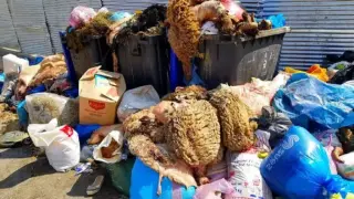 جرسيف | عمال النظافة يتمكنون من جمع أزيد من 100 طن من النفايات بأول أيام عيد الأضحى