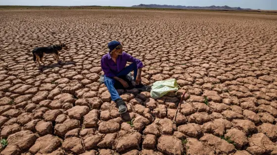 استطلاع | ندرة المياه في صدارة التحديات الحالية والمستقبلية للمغاربة