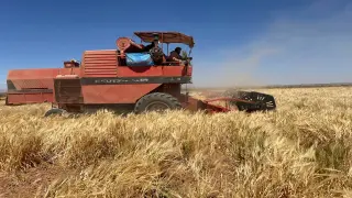 إقليم ورزازات | آلة حصاد تُزهق روح فتى وتصيب آخر بـ”ترميكت”