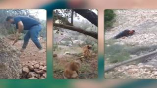 وثقت زوجته الجريمة بفيديو | مقتل فلاح على يد 03 أشقاء نواحي صفرو