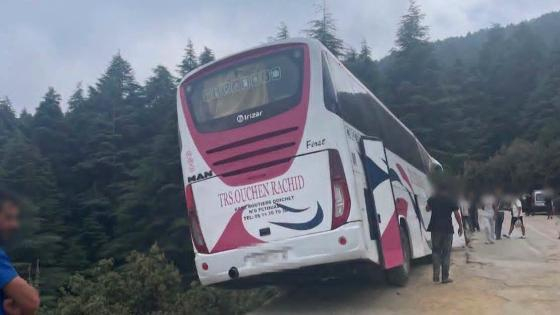 CREATOR: gd-jpeg v1.0 (using IJG JPEG v62), quality = 82?