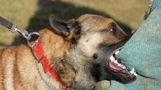 الصورة تعبيرية