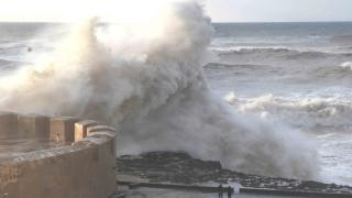 صورة | منير امحيمدات