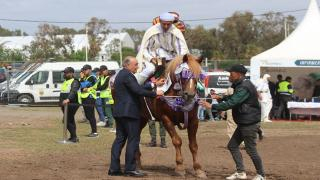 ممثلة لجرسيف | “سربة شباب جرسيف ” تتأهل إلى نهائيات جائزة الحسن الثاني لفنون الفروسية التقليدية