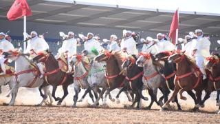 صورة | جرسيف زووم