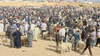 صورة | جرسيف زووم