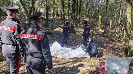 إيطاليا | إصابة شابين مغربيين في إطلاق نار في غابات “سيستو كاليندي”