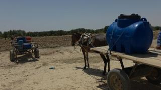 صورة | جرسيف زووم 