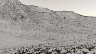 صورة | جرسيف زووم