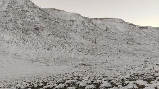 صورة | جرسيف زووم 