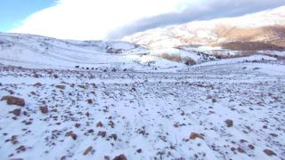 صورة | جرسيف زووم 