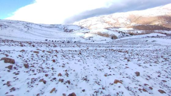 صورة | جرسيف زووم 