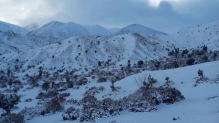 صورة | أرشيف جرسيف زووم