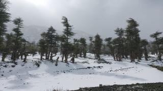 من الجمعة إلى الثلاثاء | تساقطات ثلجية وزخات مطرية مرتقبة