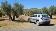 جرسيف | المركز القضائي للدرك يُوقف مروجين للمخدرات بتادرت