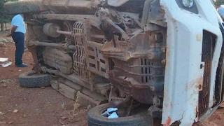 مأساة | “بيك آب” تدهس قطيع أغنام بطريق أزرو – الحاجب