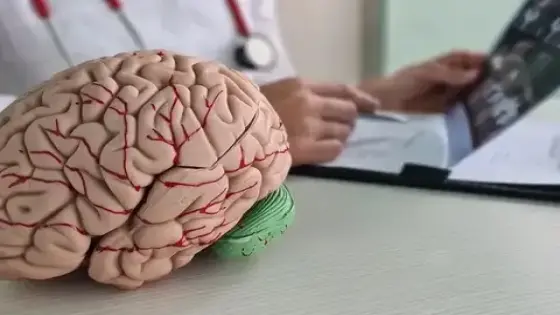 رقم صادم | السكتة الدماغية تقتل 36 ألف مغربيا خلال عام واحد