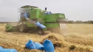 إقليم تيفلت | آلة حصاد تسلب حياة عامل فلاحي بجماعة ايت واحي