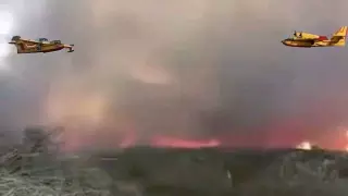 إقليم تازة | حريق غابة مغراوة يأتي على 300 هكتار و السلطات تجلي عشرات الأسر + صور