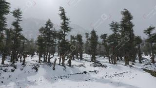 نشرة إنذارية | ثلوج ورياح قوية الجمعة والسبت بعدد من مناطق المملكة من ضمنها جرسيف