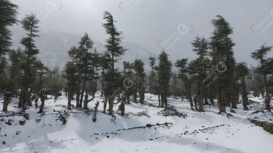 نشرة إنذارية | ثلوج ورياح قوية الجمعة والسبت بعدد من مناطق المملكة من ضمنها جرسيف