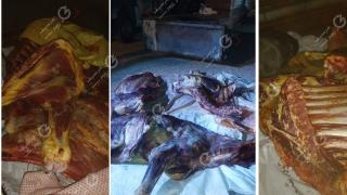 على متن “تريبرتور” | درك جرسيف يحجز ذبيحة سرية غير صالحة للإستهلاك ويوقف 3 أشخاص + صور