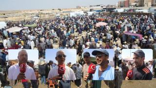 جرسيف | إقبال ضعيف على إقتناء الأضاحي بسبب غلاء الأسعار رغم وفرتها + فيديو