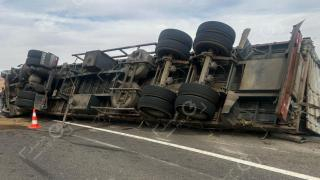 صورة | جرسيف زووم