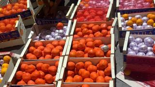 طنجة | إحباط عملية تهريب 4 أطنان من المخدرات وسط شحنة برتقال