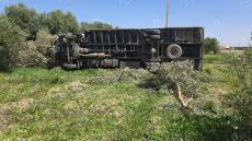 صورة | جرسيف زووم