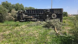 صورة | جرسيف زووم