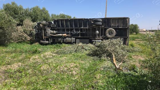 صورة | جرسيف زووم