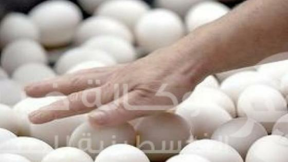 الرحامنة | برلماني يقاضي عاملة بإحدى شركاته لسرقتها 16 بيضة