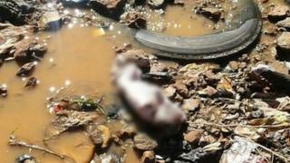 صادم…جرسيف | العثور على رضيع جثة هامدة في طور التحلل بساقية بدوار الجل 2