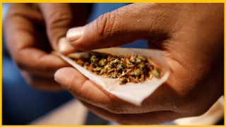 تونس | السجن 30 عاما لشباب تعاطوا “الحشيش ” يتسبب في غضب على مواقع التواصل