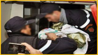 مؤلم…الناظور | كلاب ضالة تنهش رضيعا متخلى عنه